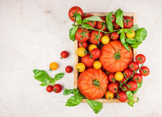 tomatoes and basil,  fresh vegetables in a wooden box 