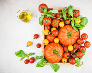 tomatoes and basil,  fresh vegetables in a wooden box 