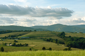 Rural landscape with green fields and forests.Summer season.