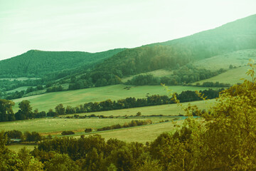Fototapeta premium Landscape with meadows and forests during evening sun.Summer season.