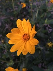 naturaleza
astronomia
paisajes 
parques
paseos