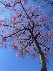 naturaleza
astronomia
paisajes 
parques
paseos
