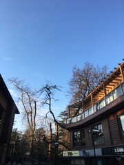 naturaleza
astronomia
paisajes 
parques
paseos