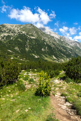 Naklejka na ściany i meble Summer landscape of Pirin Mountain near Banderitsa River, Bulgaria