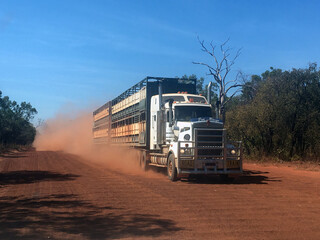 Cattle road train on the Gibb river road in the Kimberley region Western Australia
