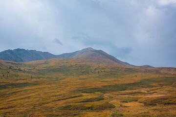 Naklejka premium Scenic motley autumn landscape with sunlit high hill top and mountain range under cloudy sky. Fading autumn colors in mountains. Dramatic scenery with sunlight under rainy clouds in changeable weather