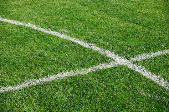 High angle view of Soccer field with white painted lines