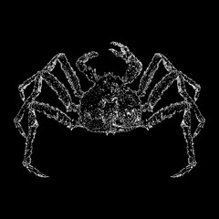 King Crab hand drawing vector illustration isolated on black background