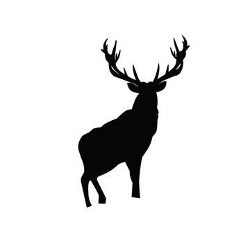 Black silhouette of the buck on the white background, simple vector illustration