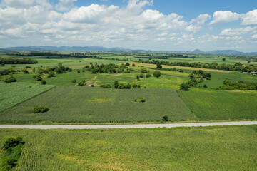 Fototapeta na wymiar high angle view of farm, grow plants, nice landscape
