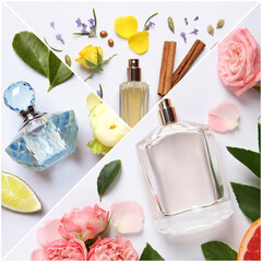 Beautiful collage with photos of luxury perfume and ingredients represent their fragrance notes on...