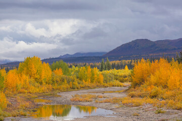 Fototapeta na wymiar Autumn in Alaska