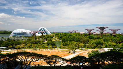 Supertree Grove - Gardens by the Bay, Singapore