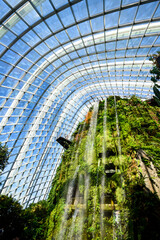 Cloud forest greenhouse - botanical garden in Marina Bay, Singapore