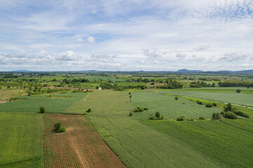 high angle view of farm, grow plants, nice landscape