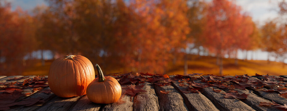 Pumpkin on a Natural Wood Tabletop in a Woodland Scene. Autumn Banner with copy-space.