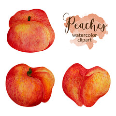 Fresh summer peaches watercolor set. Hand drawn juicy tropical fruit isolated on white background. Sweet tasty berry with stem. Ripe nectarine illustration for print, posters, cards, decorations