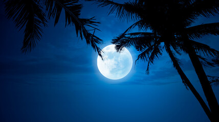 Blue night sky with coconut trees and moonlight