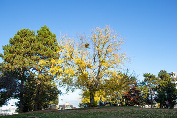 Autumn landscape at the old town in Geneva, Switzerland