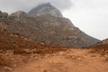 view of the mountain valley in summer
