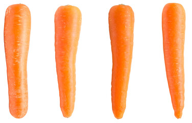 fresh sweet carrots