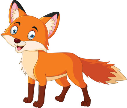 Cartoon cute little fox on white background