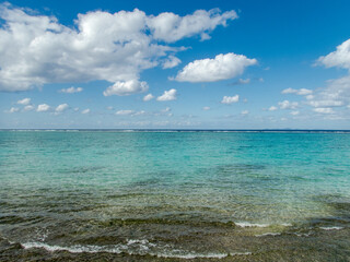 晴れた夏の沖縄県北部の透けた綺麗な珊瑚礁の海