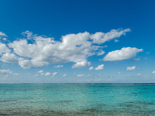 晴れた夏の沖縄県北部の透けた綺麗な珊瑚礁の海