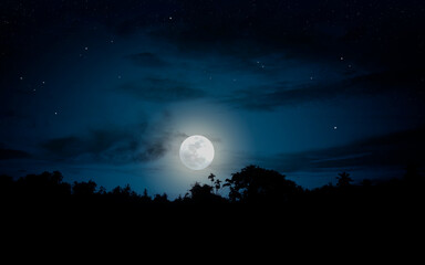 Naklejka na ściany i meble Night landscape with full moon.