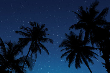 Palm tree silhouette on starry night