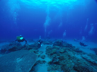 Fototapeta na wymiar Scuba diving at Chichi jima Bonin island, Ogasawara.