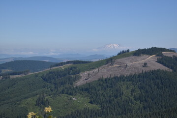 Mt. St. Helens from Camas