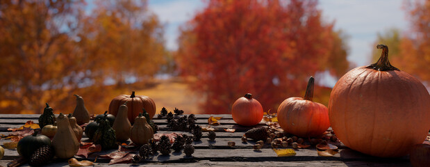 Pumpkin on a Natural Wood Tabletop in a Woodland Setting. Autumn Banner with copy-space.