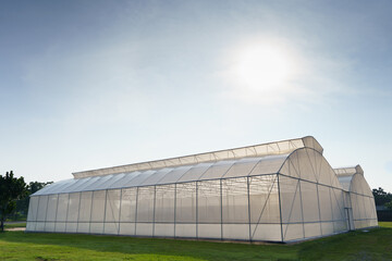A large greenhouse for growing organic vegetables is located on the green grass outdoors. Can prevent insects from entering and destroying the planted area.organic vegetable concept.