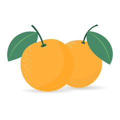 Orange with green leaves  , Illustration 