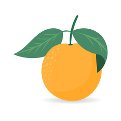 Orange with green leaves  , Illustration 