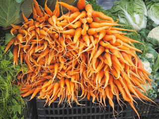 heap of bunch baby carrots in the market.