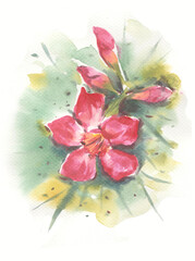 watercolor painting of flowers painting for card illustration decoration 
