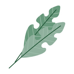 Obraz premium Green leaf vector isolated on background ,illustration 