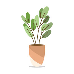 Plants planted in indoor pots to decorate the house isolated background ,  Flat cartoon flat style. illustration