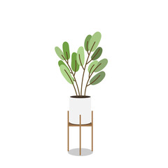 Plants planted in indoor pots to decorate the house isolated background ,  Flat cartoon flat style. illustration