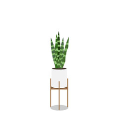 Plants planted in indoor pots to decorate the house isolated background , Flat cartoon flat style. illustration