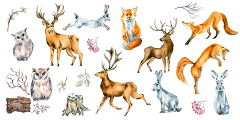 Set of wild animals and forest plants watercolor illustration isolated on white.