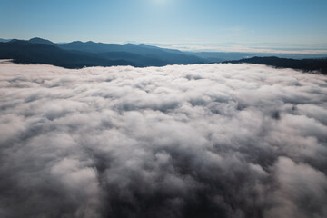Fog in the mountains at sunrise. Morning fog in the mountains