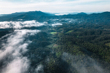 Fog in the mountains at sunrise. Morning fog in the mountains