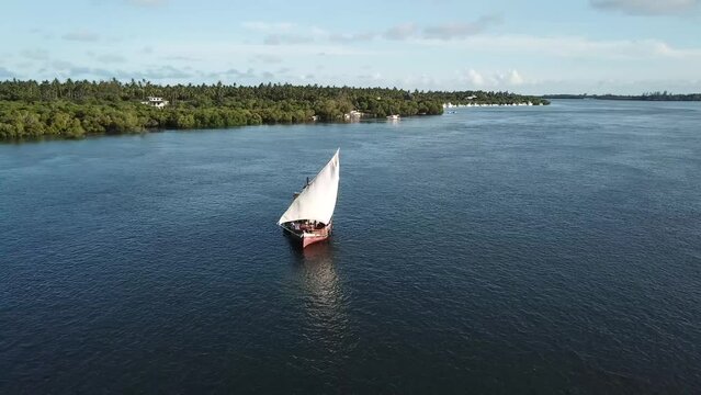 Sail ship sailing in Mida Creek, natural wonder of Mangrove ecosystem in Watamu, Kenya. Aerial drone shot