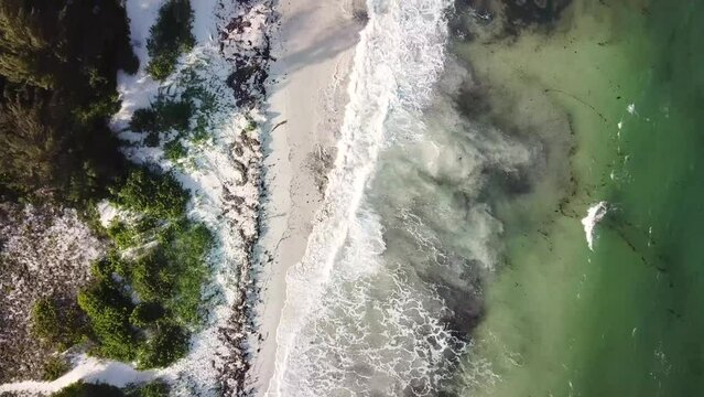 Tropical scene of white sandy beach and calm sea waves, sunny day. Top down aerial, Watamu, Kenya