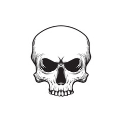 Skull. Skeleton head. engraving style, for illustration, logo, emblem, T shirt, sticker, and more