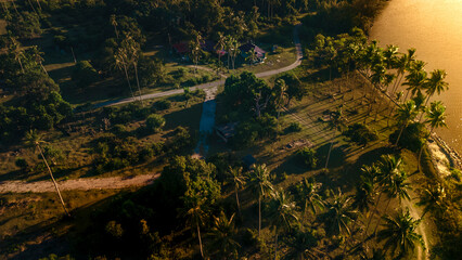 Top Areal view during sunset with coconut tree near beach.