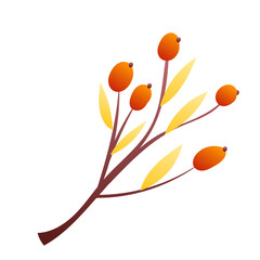 colorful autumn leaves for content online or web, banner and template, Simple cartoon flat style ,isolated background , illustration